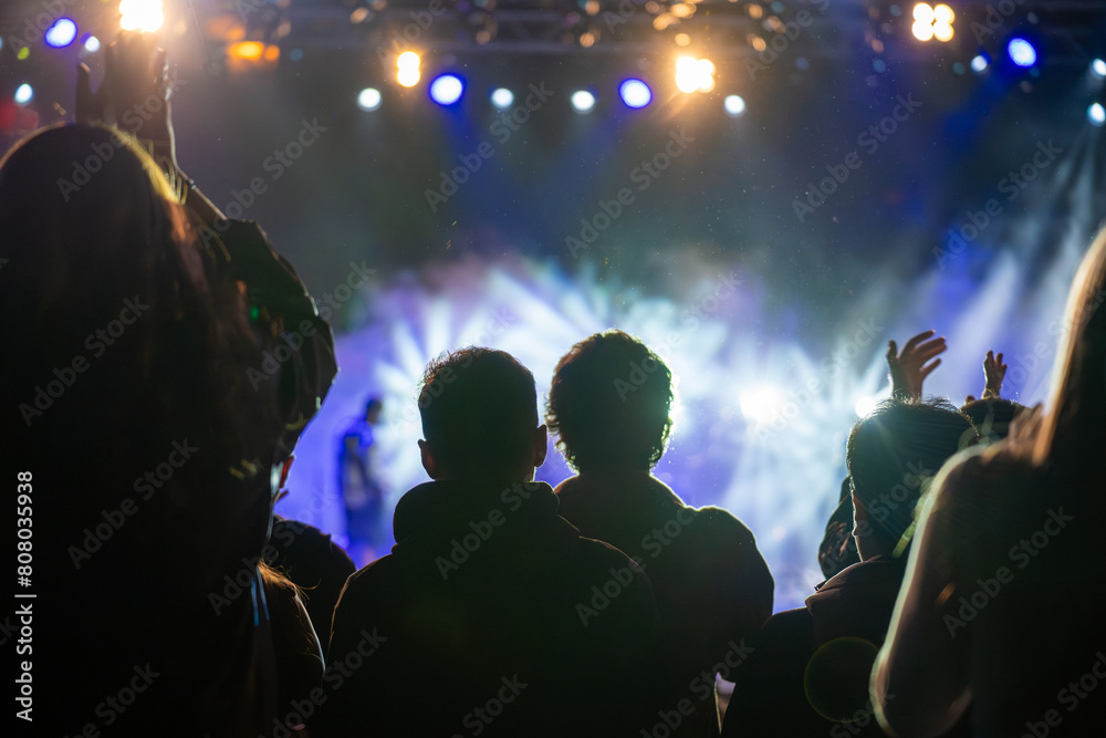 Silhouette audience at the crowded concert.