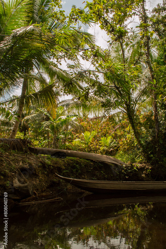 Boot im indonesischen Regenwald