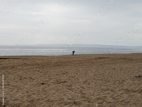 Alone on the Beach (ID: 808040939)