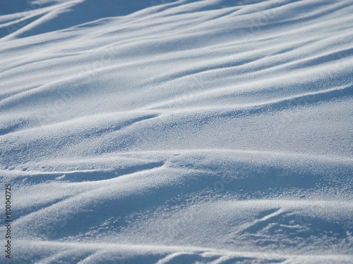 snow on the snow © birdmanphoto