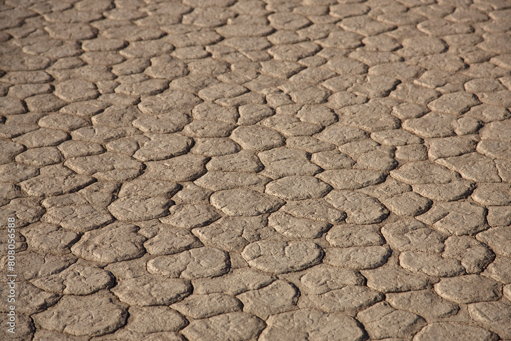 Namibia Namib Desert on a sunny autumn day Namibia Namib Desert on a sunny autumn day