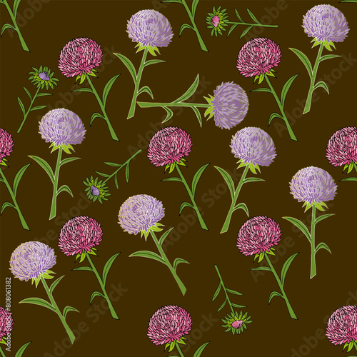 Seamless pattern with comfortable pink and violet aster flowers on brown background. Vector image.