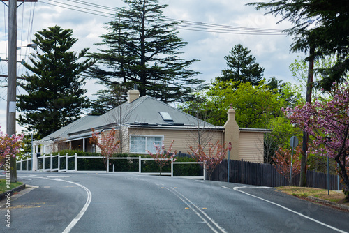 Cream weatherboard house on corner of streets in spring photo