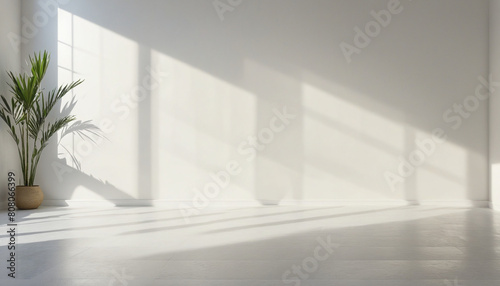 Minimalist Studio Set with White Floor  Flower and Palm Tree Accents  and Subtle Window Shadows for Product Presentation in an Empty Modern Space