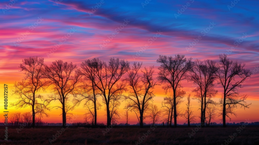 Silhouette of trees against a vibrant sunrise sky, nature awakening to a new day