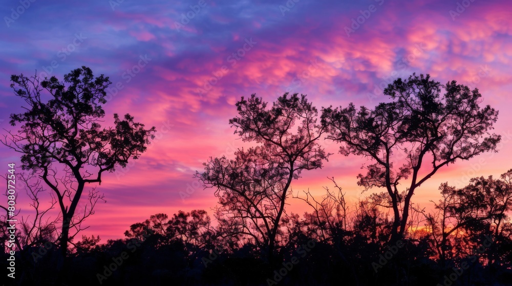 Silhouette of trees against a vibrant sunrise sky, nature awakening to a new day Silhouette of trees against a vibrant sunrise sky, nature awakening to a new day