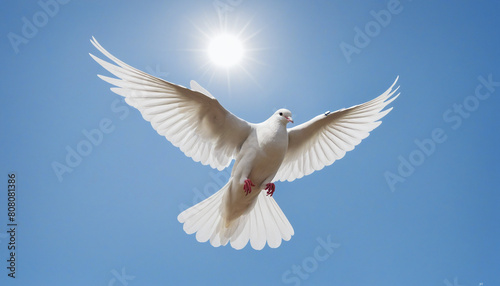Symbolic White Dove Soaring in the Blue Sky