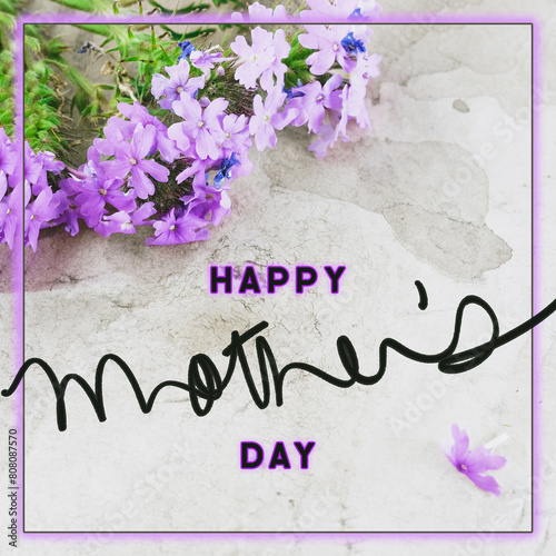 Happy Mother's Day greeting with purple flowers on square background for holiday