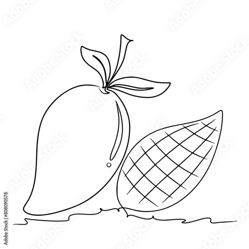 continuous line drawing of mango isolated on transparent background. Vector illustration