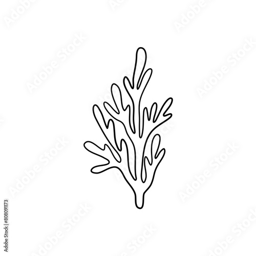 Coral Reefs And Seaweed Outline Vektor