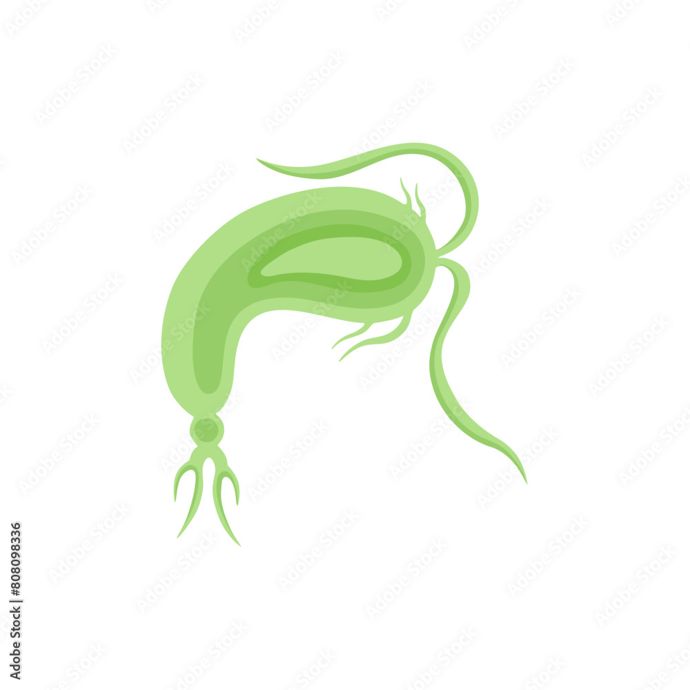 Copepod Microorganism Vektor Illustration Copepod Microorganism Vektor Illustration
