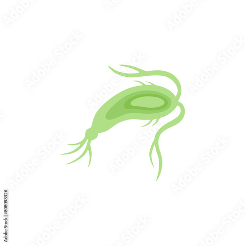 Copepod Microorganism Vektor Illustration 