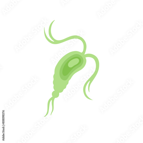 Copepod Microorganism Vektor Illustration 