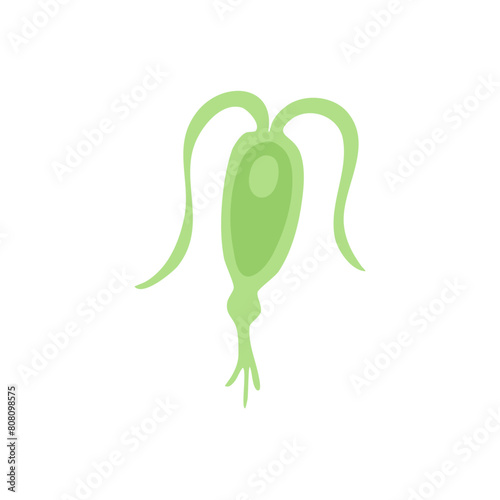 Copepod Microorganism Vektor Illustration 