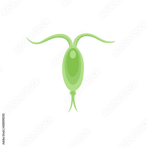 Copepod Microorganism Vektor Illustration 