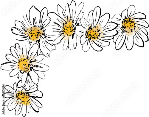 White Daisies floral illustration