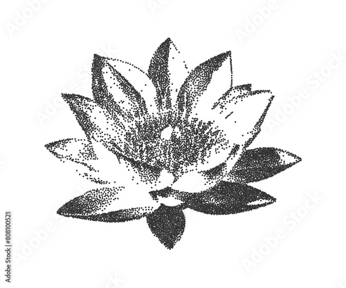  Lotus flower in grunge style with a grainy photocopy effect. An element of halftone strokes in the Gothic style. Vector illustration.