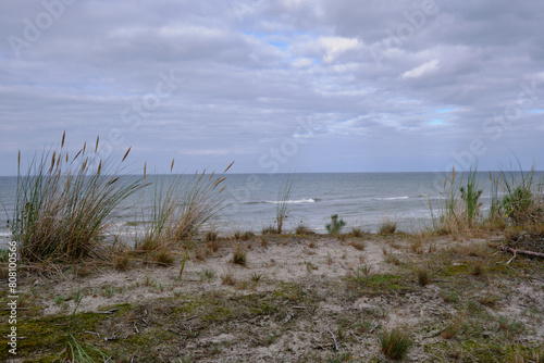 Baltic Sea coast near D  bki