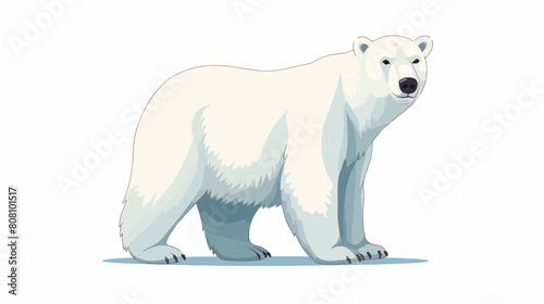 Arctic polar white bear the winter symbol and eleme