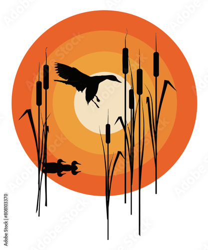 Mallard ducks are seen in cattails at sunset in this graphic illustration.