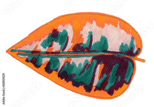 Calathea leaf hand drawn illustration