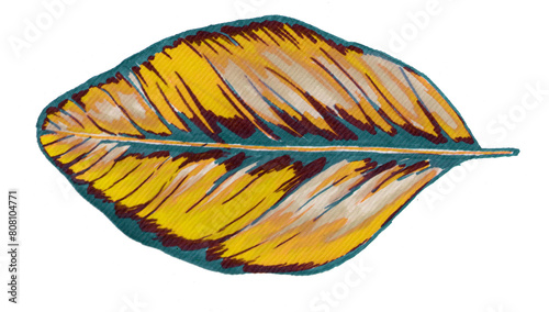 Calathea leaf hand drawn illustration