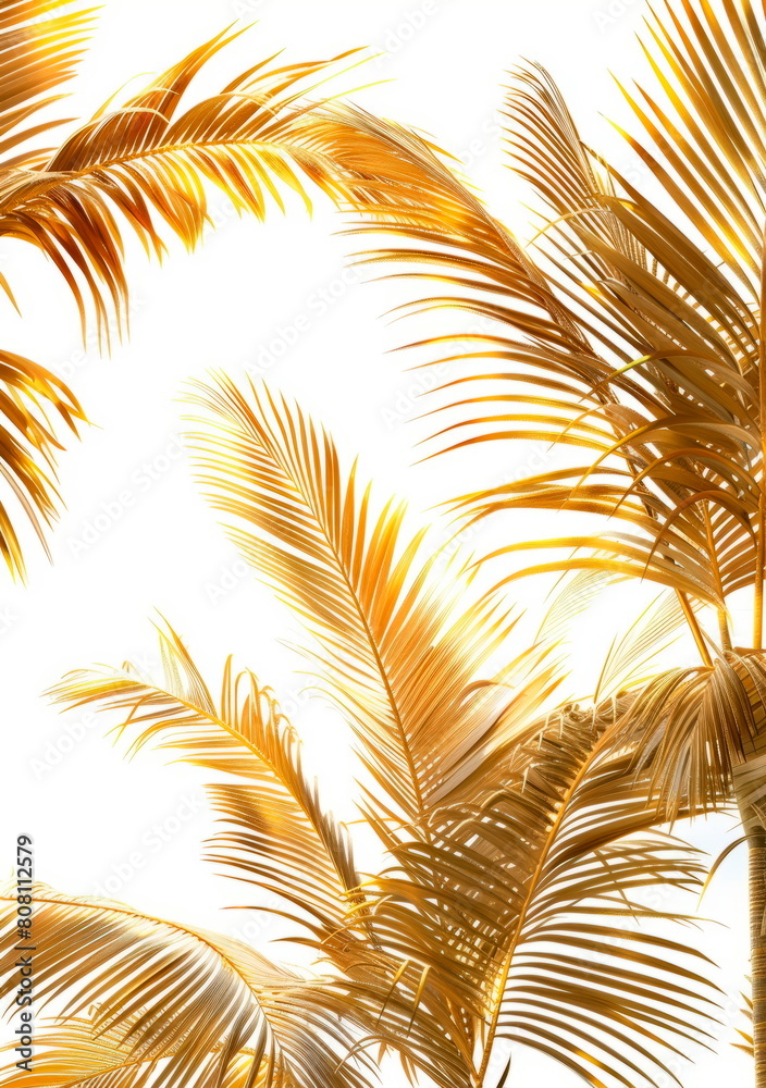 Subtle palm frond silhouettes, elegant summer background, white and gold, sophisticated and tropical