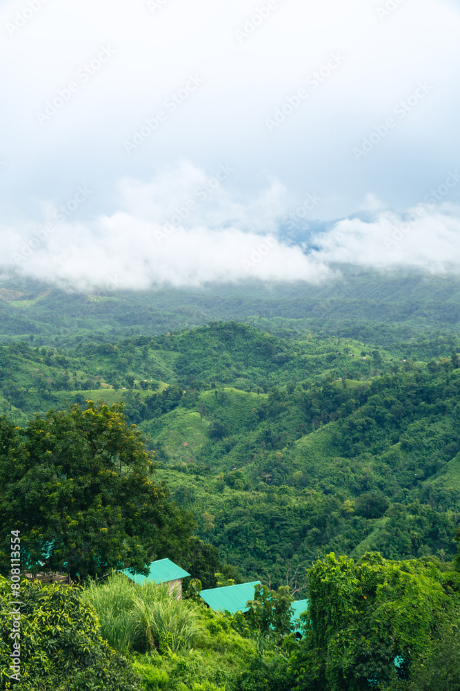 Beautiful Sajek Valley, clouds over the mountains, view from the top of mountain, view of a forest, natural beauty