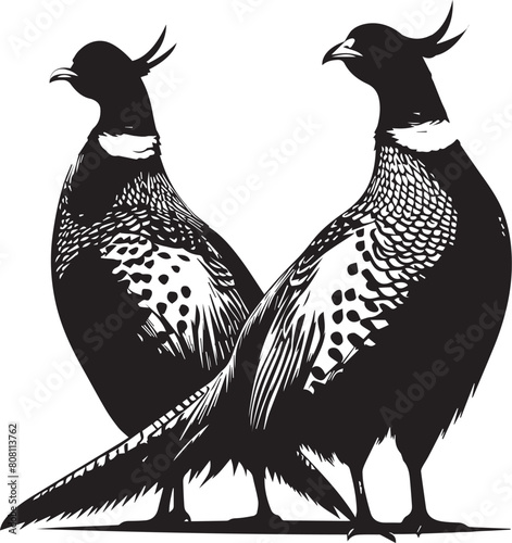 Pheasant silhouette. Pheasant logo. Pheasant vector design black and white. Pheasant flying silhouette. 