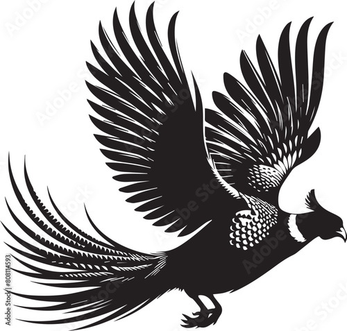 Pheasant silhouette. Pheasant logo. Pheasant vector design black and white. Pheasant flying silhouette.  photo