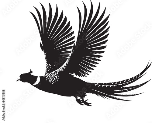 Pheasant silhouette. Pheasant logo. Pheasant vector design black and white. Pheasant flying silhouette. 