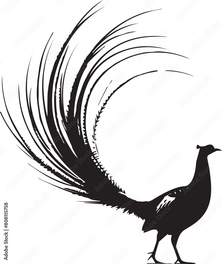 Fototapeta premium Pheasant silhouette. Pheasant logo. Pheasant vector design black and white. Pheasant flying silhouette.