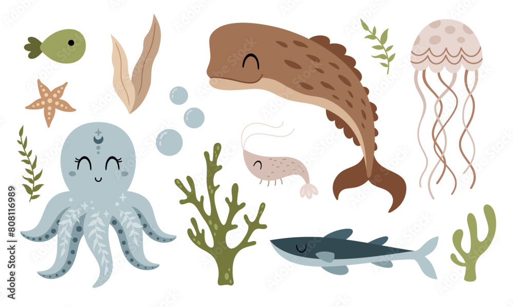 Naklejka premium Sea animals clipart with octopus, whale, jellyfish, fish, starfish, seaweed. Ocean clipart in cartoon flat style. Hand drawn vector illustration