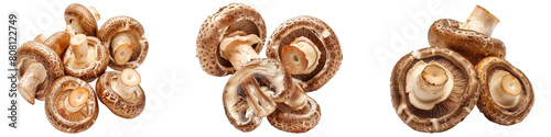 Fresh Shiitake Mushrooms Hyper realistic Highly Detailed Isolated On Transparent Background PNG