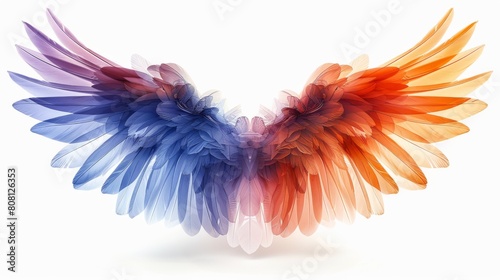 The abstract symmetry bird wings line rainbow is isolated on a white background. Modern illustration. © DZMITRY