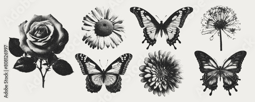 Flower, rose, butterfly, chamomile elements in the retro copy style. Elements for the y2k design. The effect of grain and dotted lines. Modern vector illustration. photo