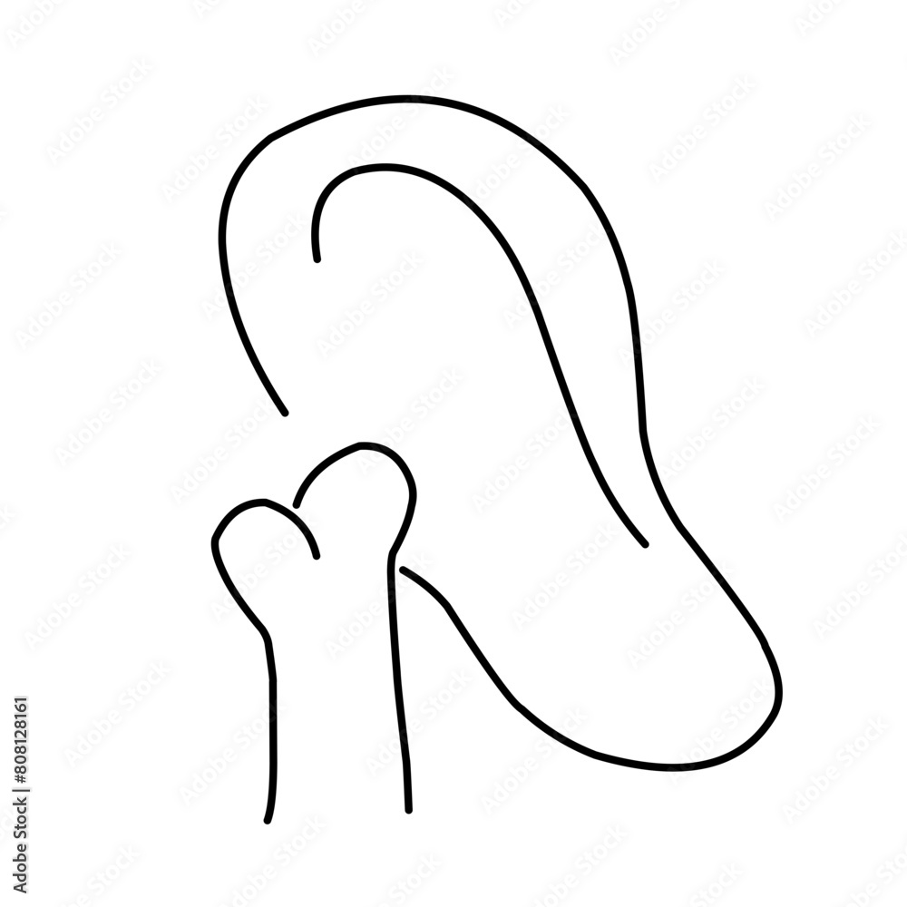Hand drawn Bone outine. Broken bone joint vector Knee bone. Vector ilustration Hand drawn Bone outine. Broken bone joint vector Knee bone. Vector ilustration