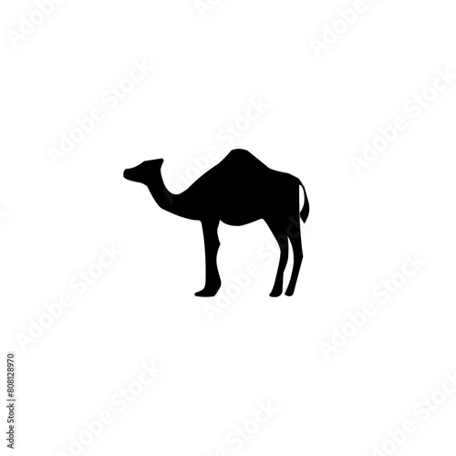 Camel Silhouette