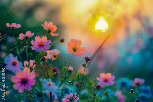 Pastel flowers in bloom against a backdrop of a setting sun © THE STARBOY94