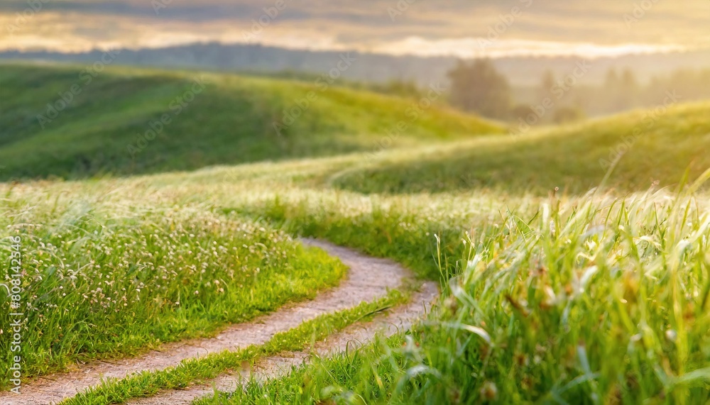 Scenic winding path through a field of green grass in the morning Scenic winding path through a field of green grass in the morning
