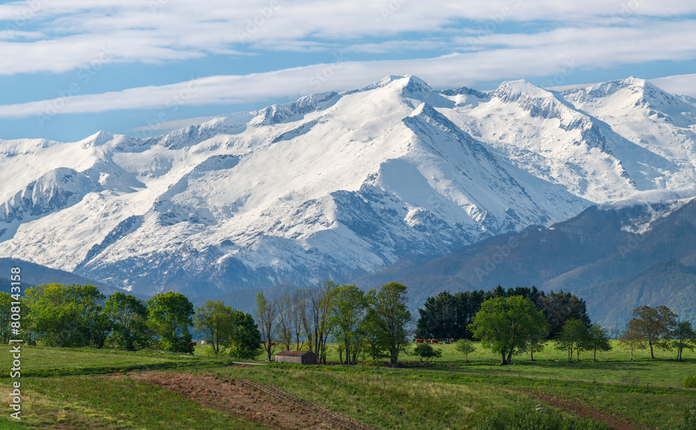 Beautiful spring landscape with snow-capped mountains in the background