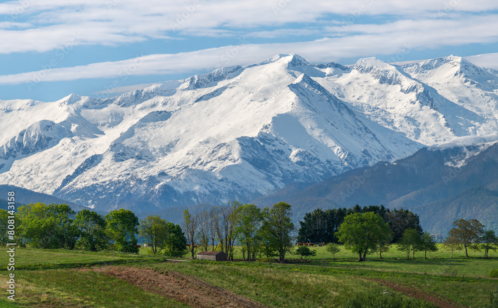 Beautiful spring landscape with snow-capped mountains in the background Beautiful spring landscape with snow-capped mountains in the background