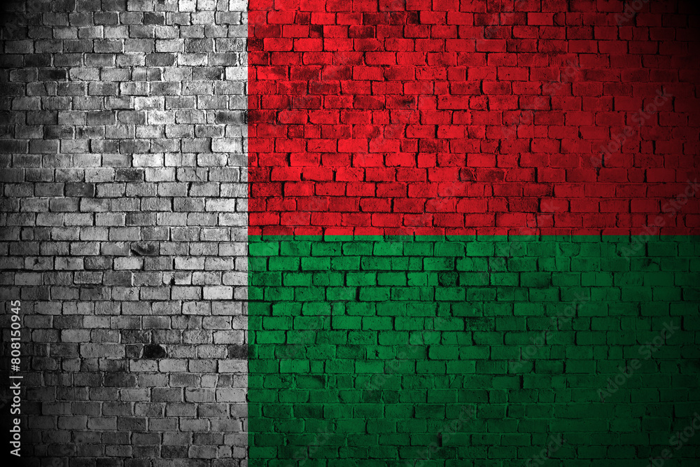 madagascar flag on brick wall