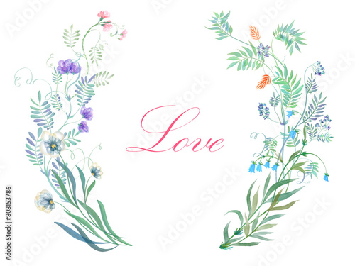Round floral watercolor frame made of field transparent flowers with a place for text. A wreath of meadow flowers. Watercolor botanical illustration of flowers on a transparent background.