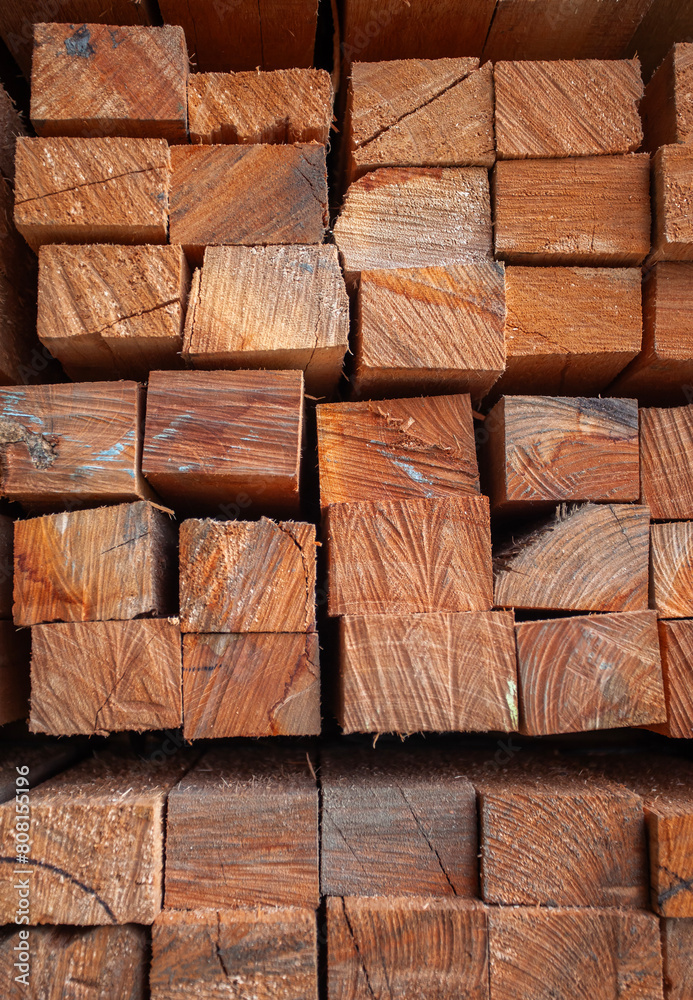 Cross-section of wood material that has been cut and ready to use. Attractive wood textures and patterns for backgrounds and design elements. Cross-section of wood material that has been cut and ready to use. Attractive wood textures and patterns for backgrounds and design elements.