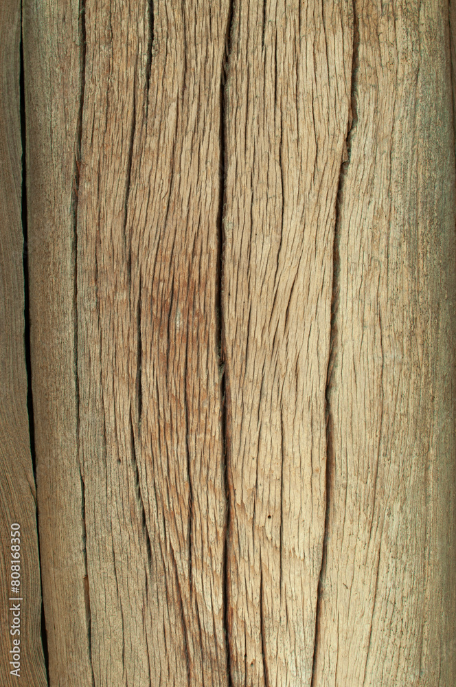 old wood texture old wood texture