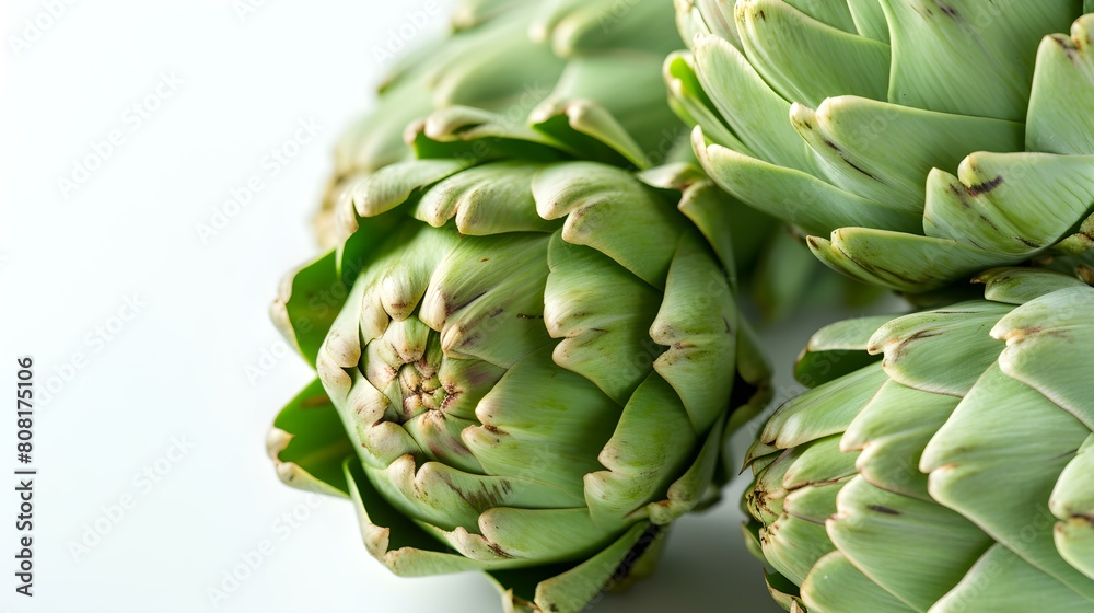 Close up of fresh Artichokes on a white Background Close up of fresh Artichokes on a white Background