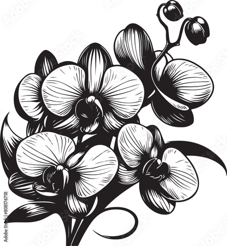 black and white flower