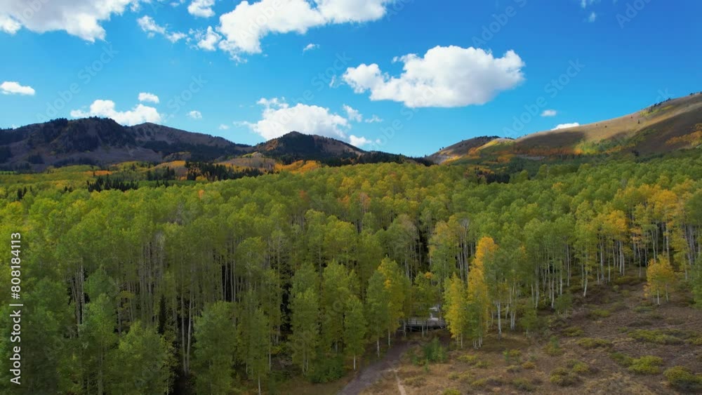 An aerial view of aspen trees in the fall, in the Wasatch Mountains southeast of Salt Lake City, Utah. This image was from the Little John Loop Trailhead on Pine Canyon Road and Guardsman Pass Road An aerial view of aspen trees in the fall, in the Wasatch Mountains southeast of Salt Lake City, Utah. This image was from the Little John Loop Trailhead on Pine Canyon Road and Guardsman Pass Road