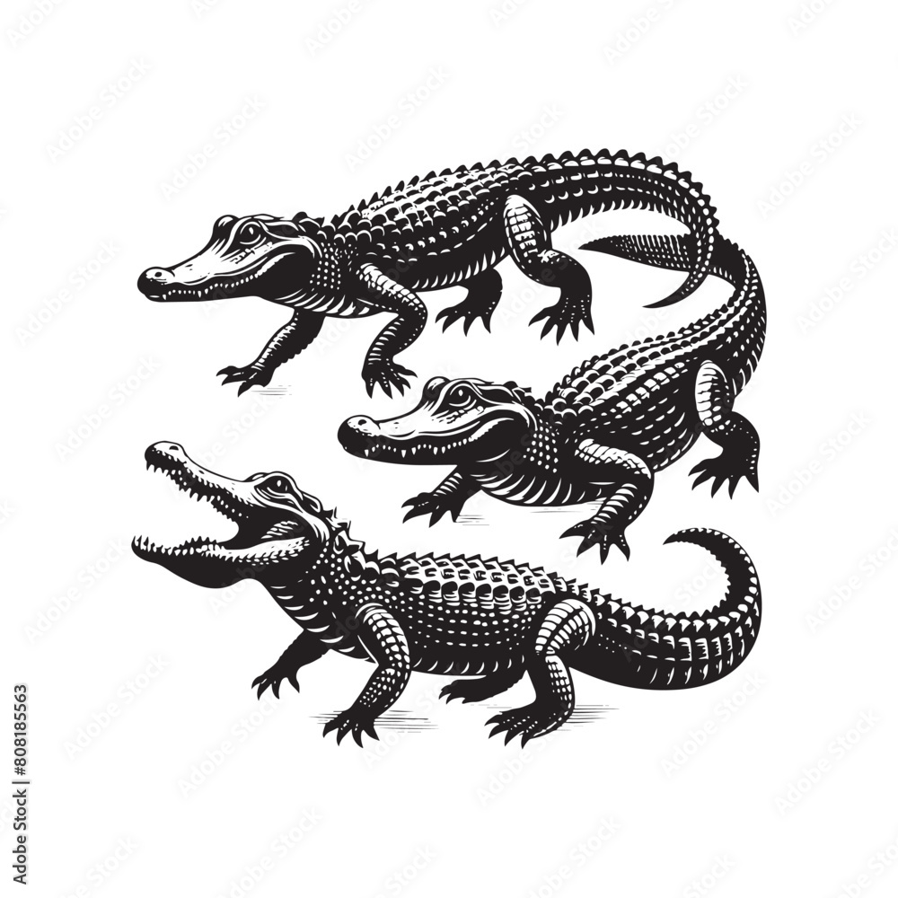 Fototapeta premium Alligator silhouette for creative inspiration - reptile silhouette - alligator illustration - minimalistic alligator vector 